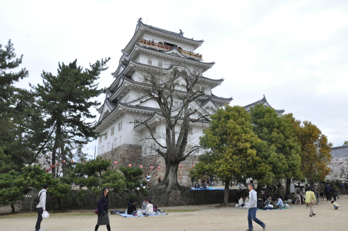 福山城に桜を見に行ってきました！ついでに遊具でも遊びました